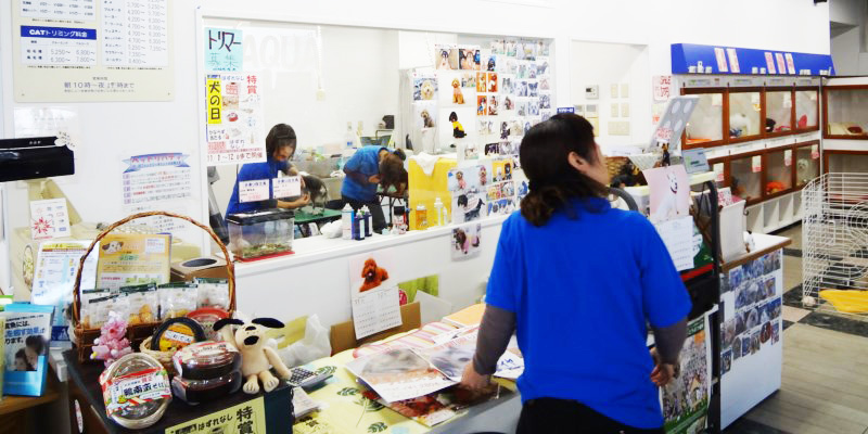 店内の様子