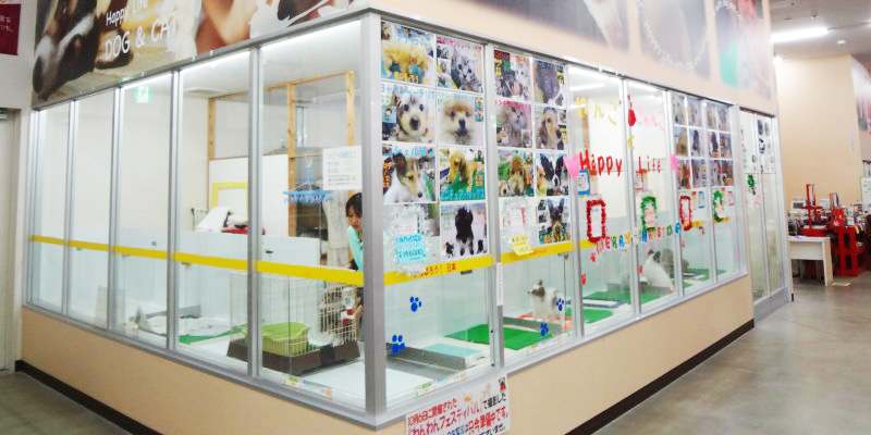 店内の様子