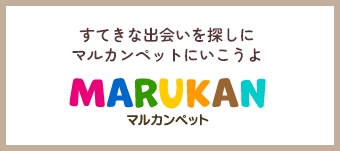 マルカンペット