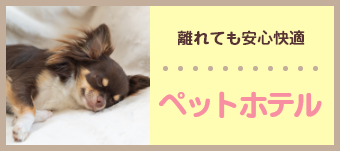 離れても安心ペットホテル