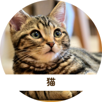 猫