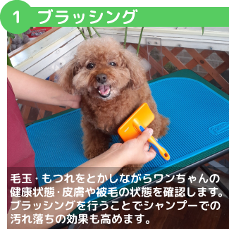 ブラッシング 毛玉・もつれをとかしながらワンちゃんの健康状態・皮膚や被毛の状態を確認します。ブラッシングを行うことでシャンプーでの汚れ落ちの効果も高めます。