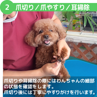  爪切り／爪やすり／耳掃除 爪切りや耳掃除の際にはわんちゃんの細部の状態を確認をします。爪切り後には丁寧にやすりがけを行います。