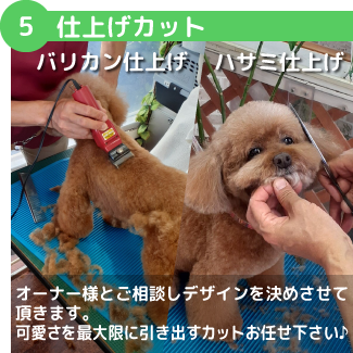 バリカン仕上げ／ハサミ仕上げオーナー様とご相談しデザインを決めさせて頂きます。可愛さを最大限に引き出すカットお任せ下さい♪