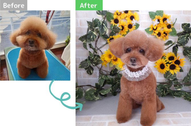 Before After