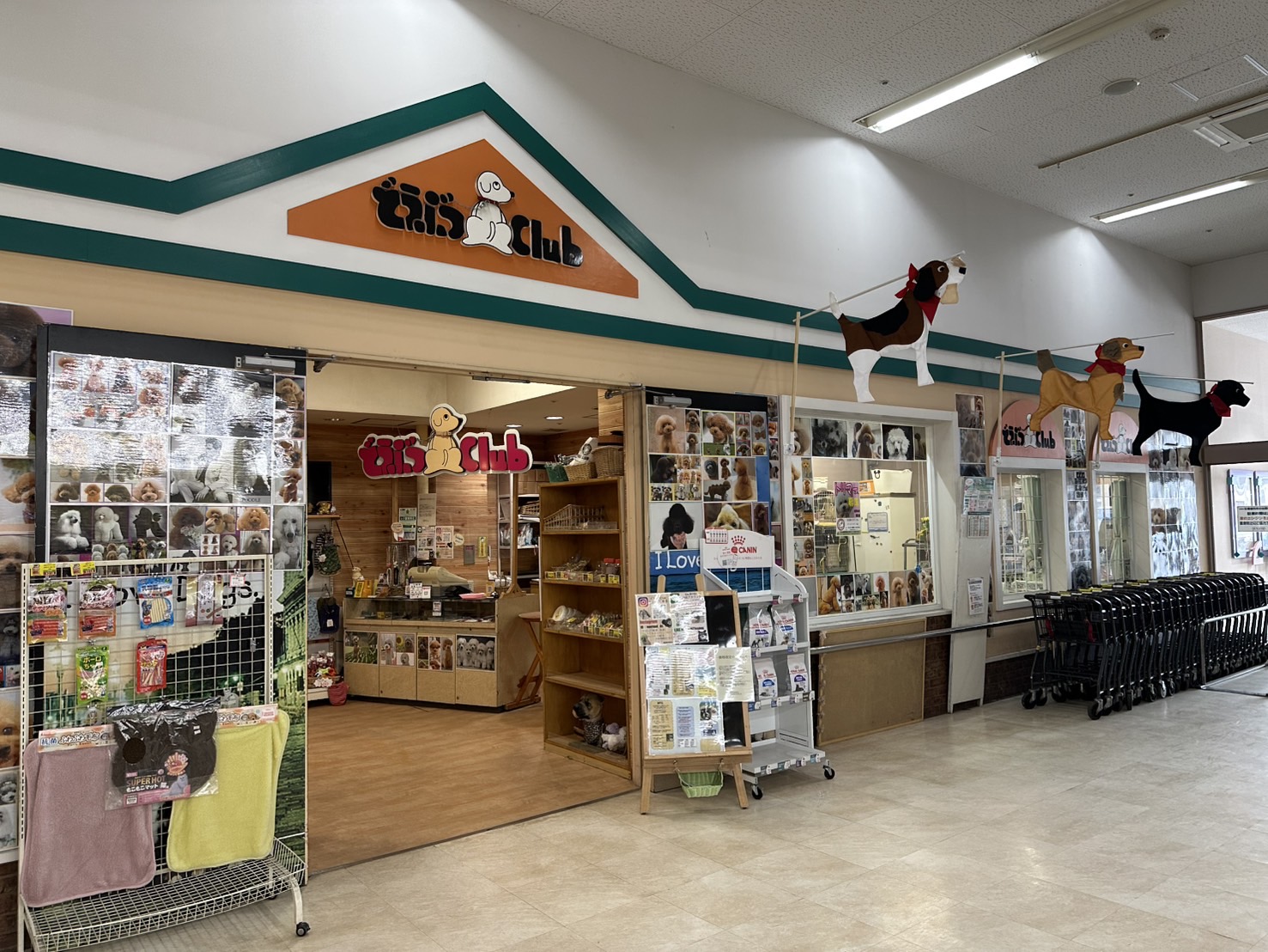 どうぶつＣｌｕｂ　サンロード店　1F