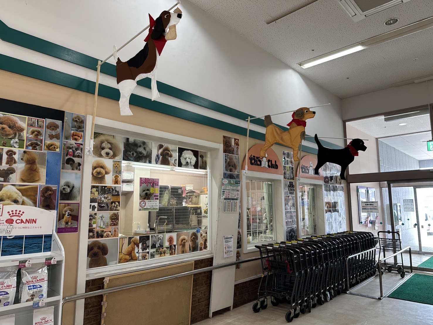 どうぶつＣｌｕｂ　サンロード店　1F