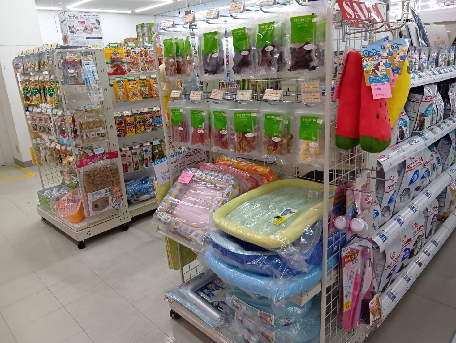 どうぶつＣｌｕｂ　下北むつ店