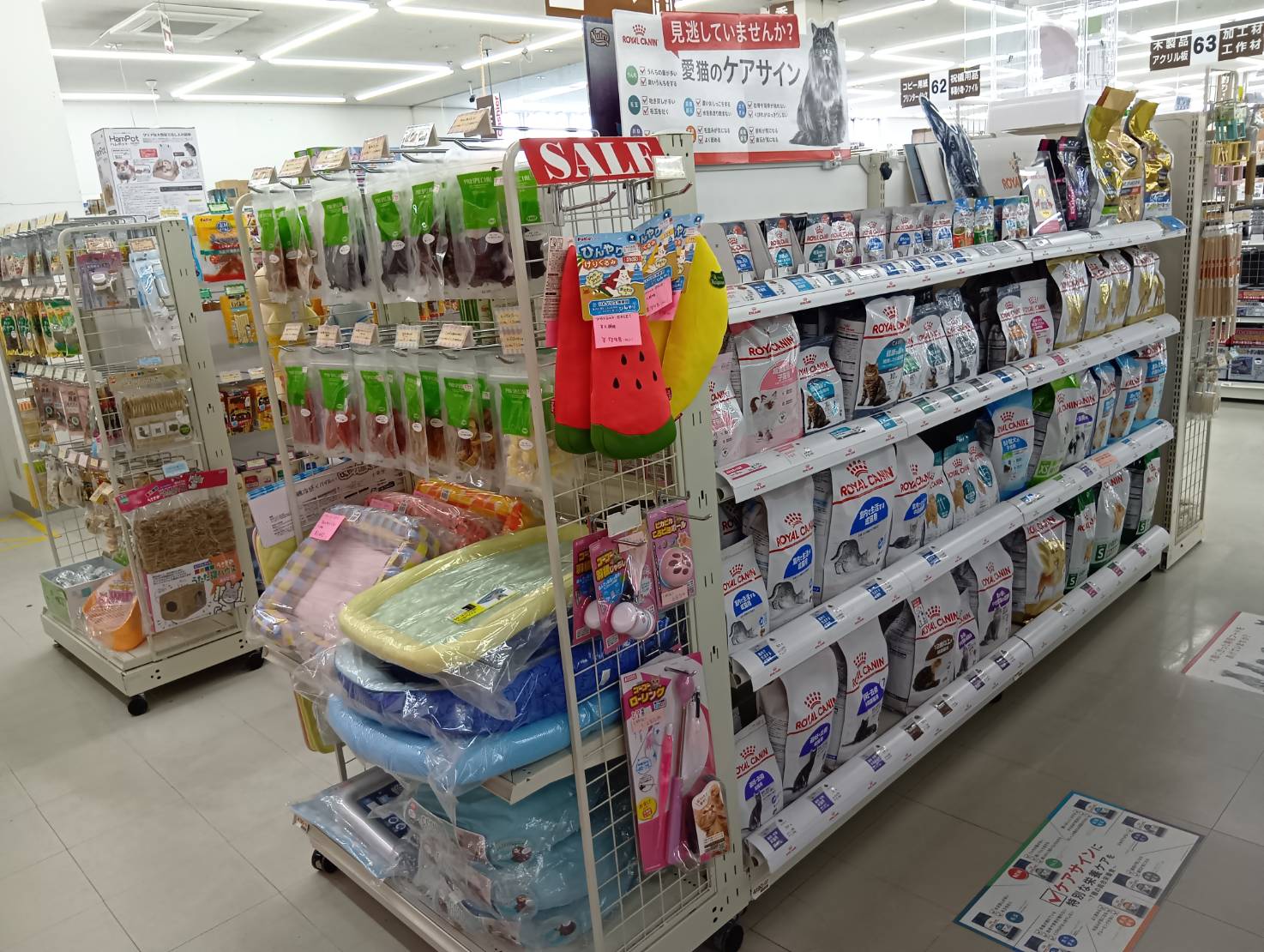 どうぶつＣｌｕｂ　下北むつ店