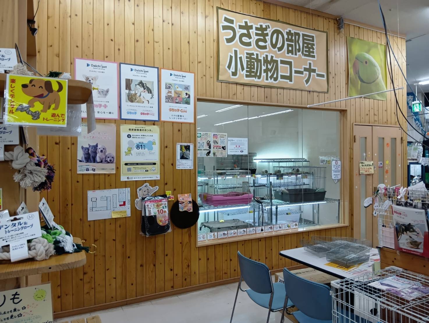 どうぶつＣｌｕｂ あおもり中央店