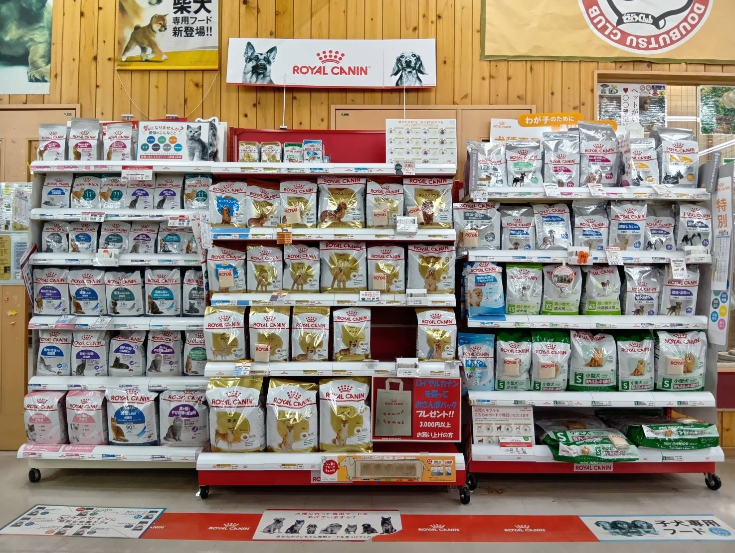 どうぶつＣｌｕｂ あおもり中央店