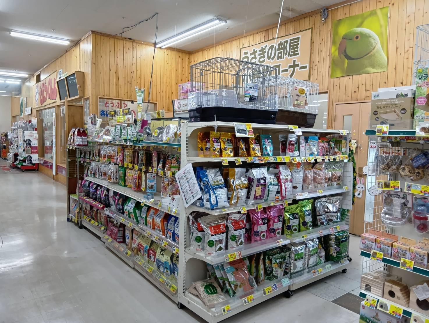どうぶつＣｌｕｂ あおもり中央店