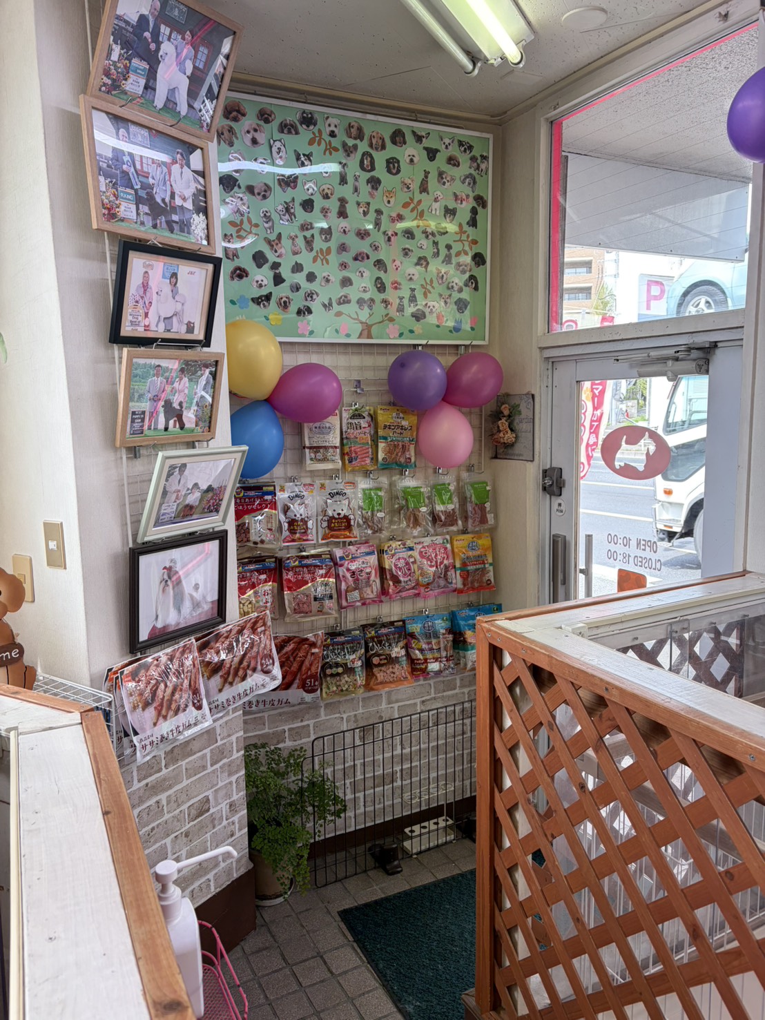 トリミングスタジオ どうぶつClub 千葉柏店