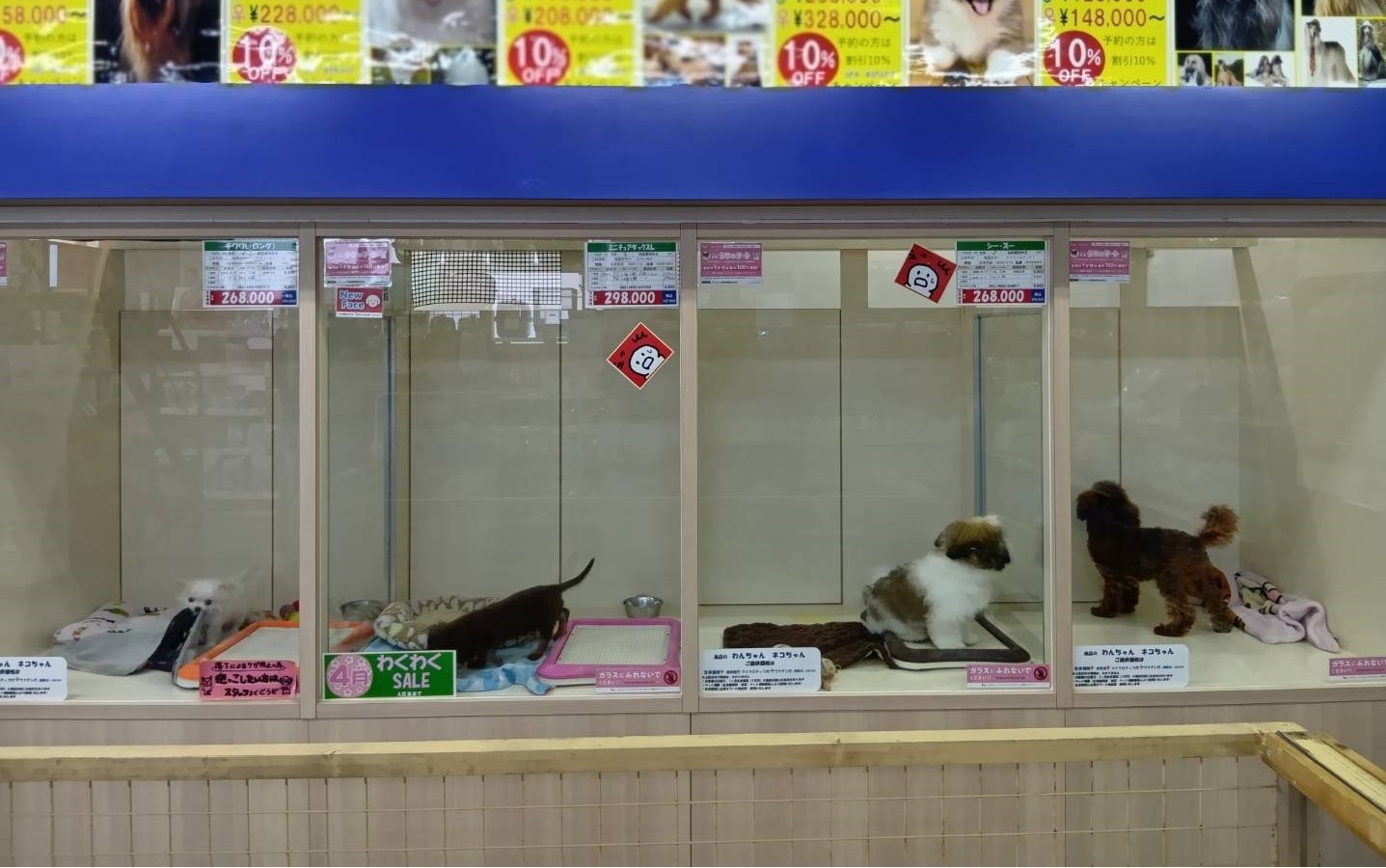 ペットリバティ　コスモス店
