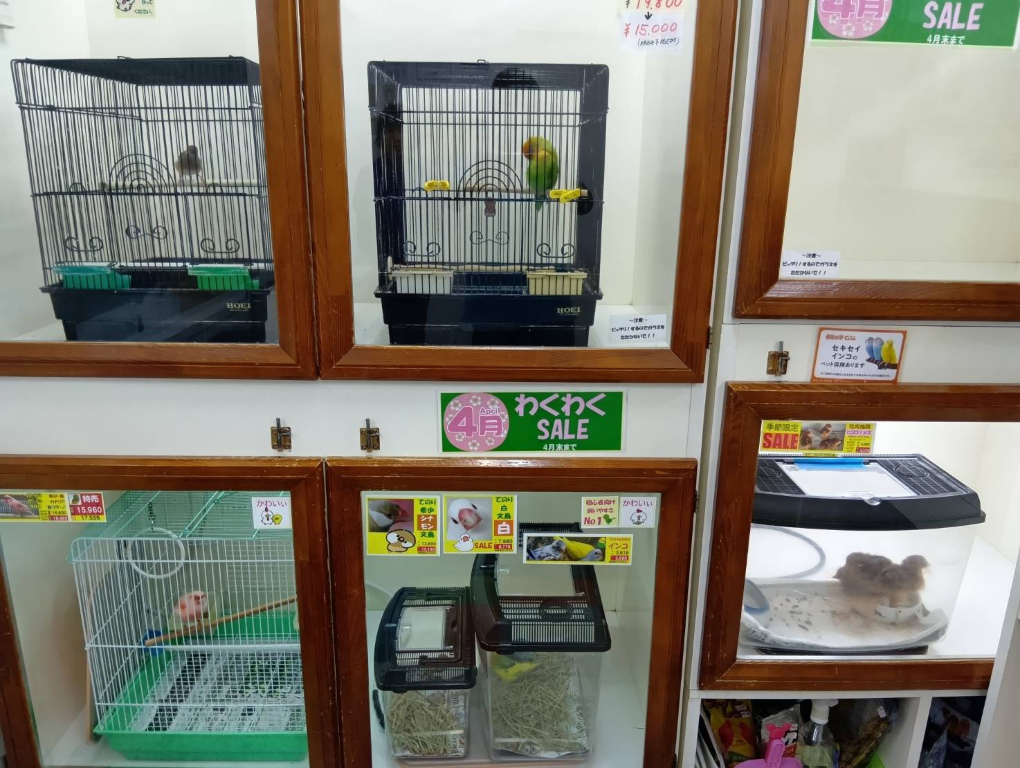 ペットリバティ　コスモス店