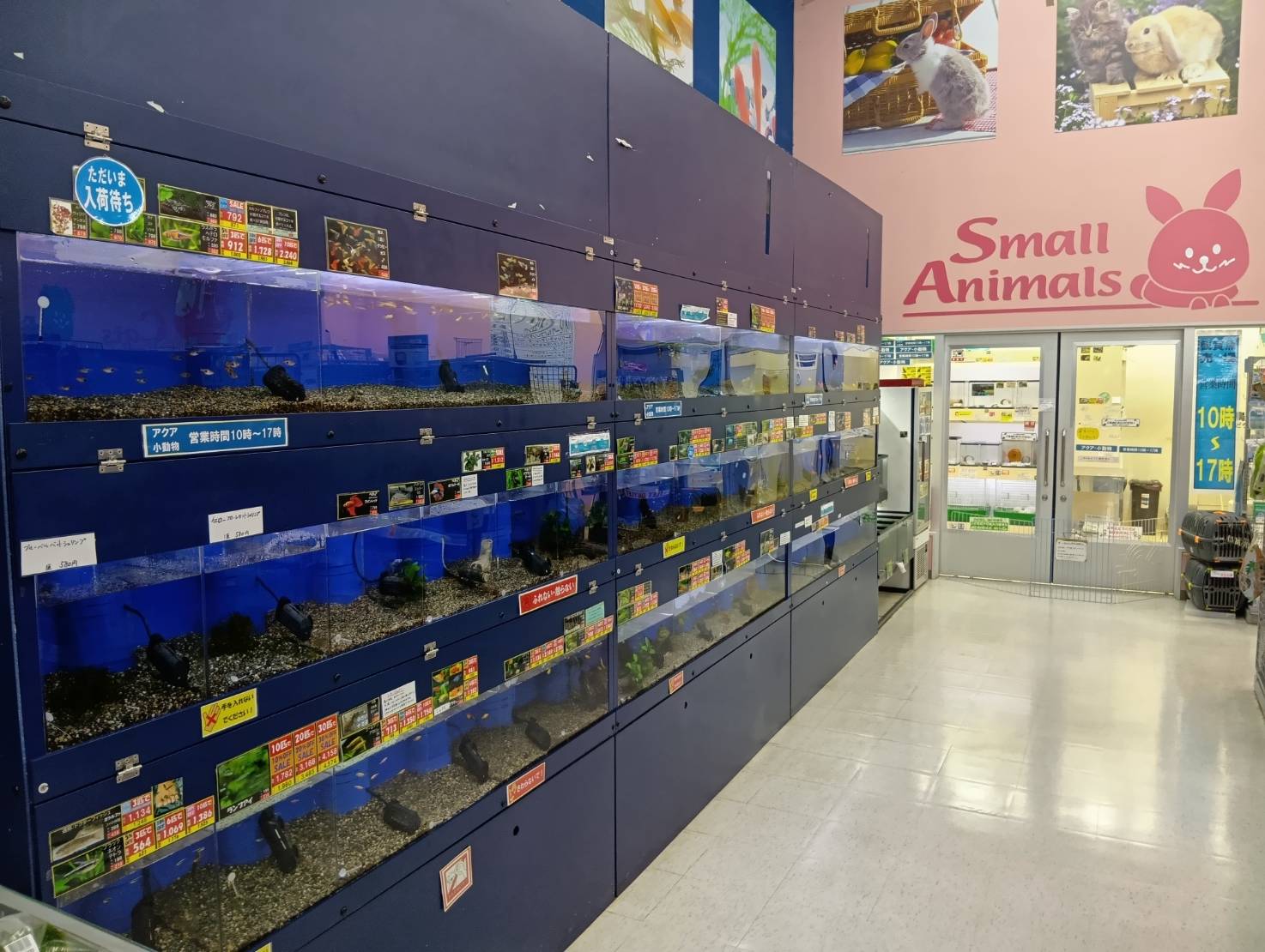 ペット アミ　五所川原店