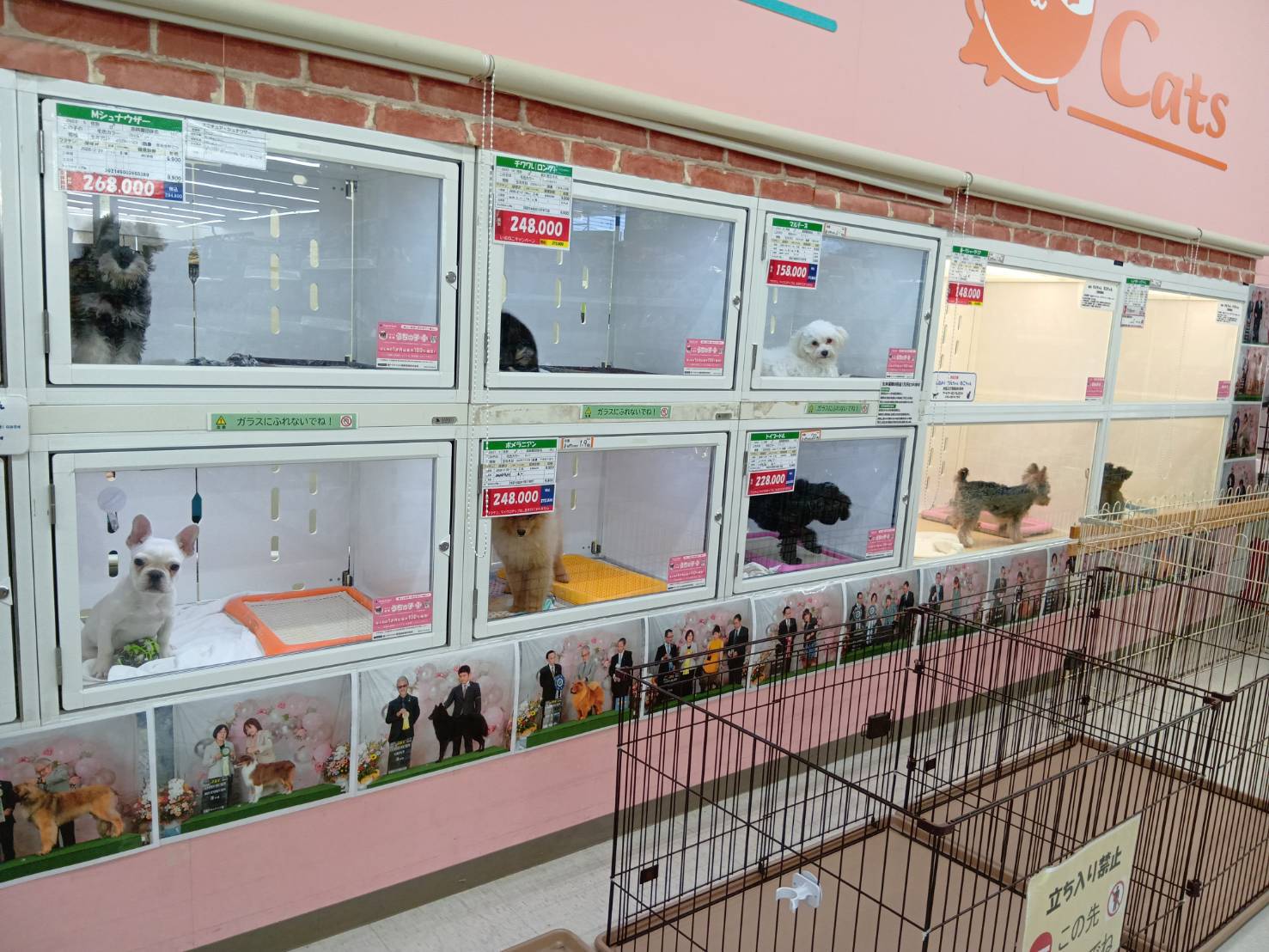 ペットアミ　大館店