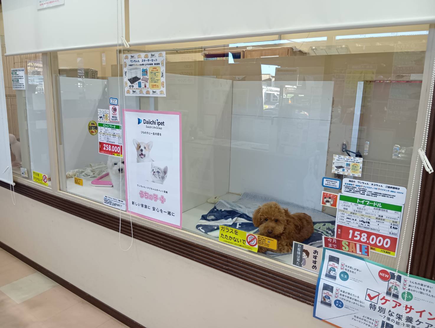 ペットリバティ　 二戸店
