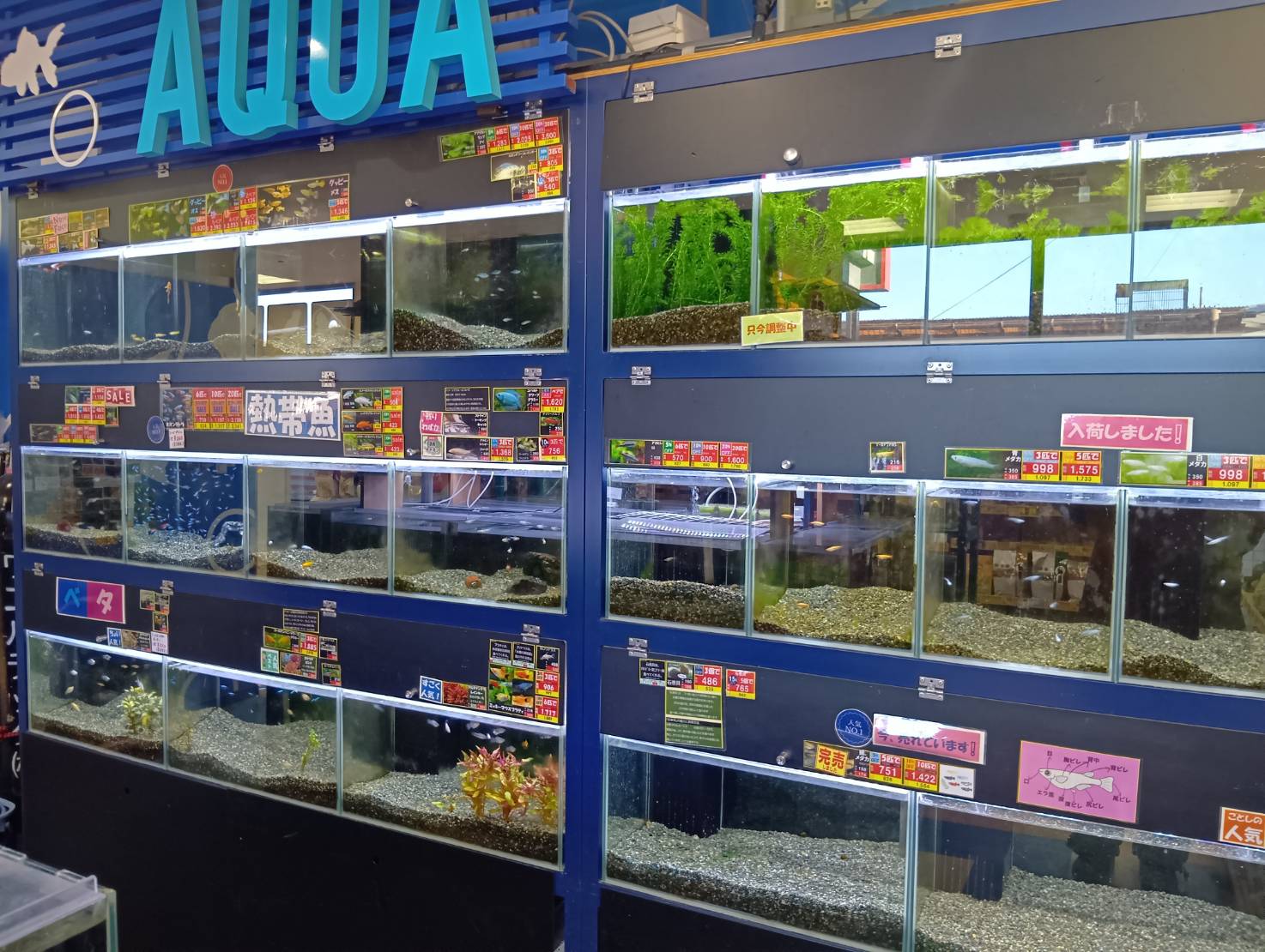 ペットリバティ　 二戸店
