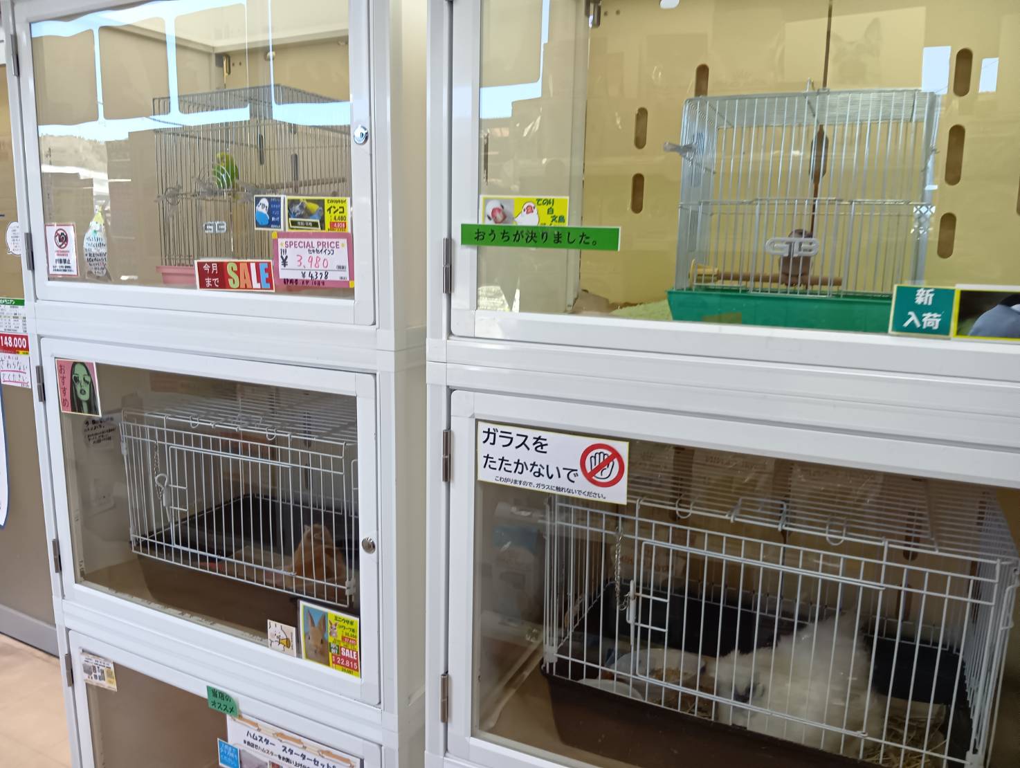 ペットリバティ　 二戸店